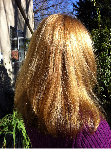 ecocolors goldlen hair